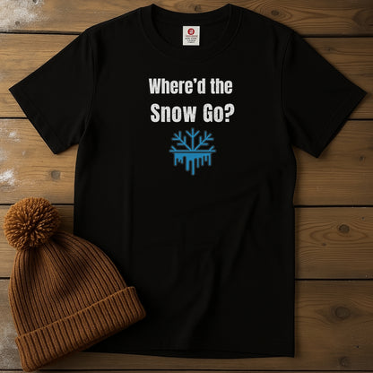Where'd the Snow Go?