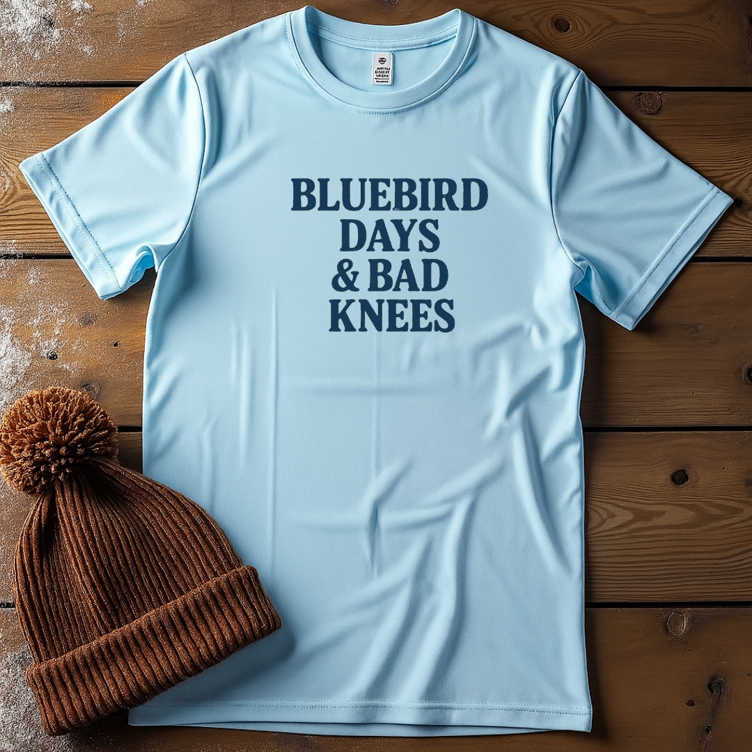 Bluebird Days and Bad Knees