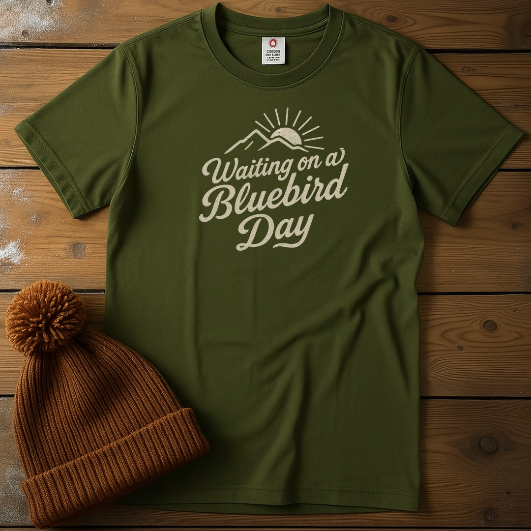 Waiting on a Bluebird Day