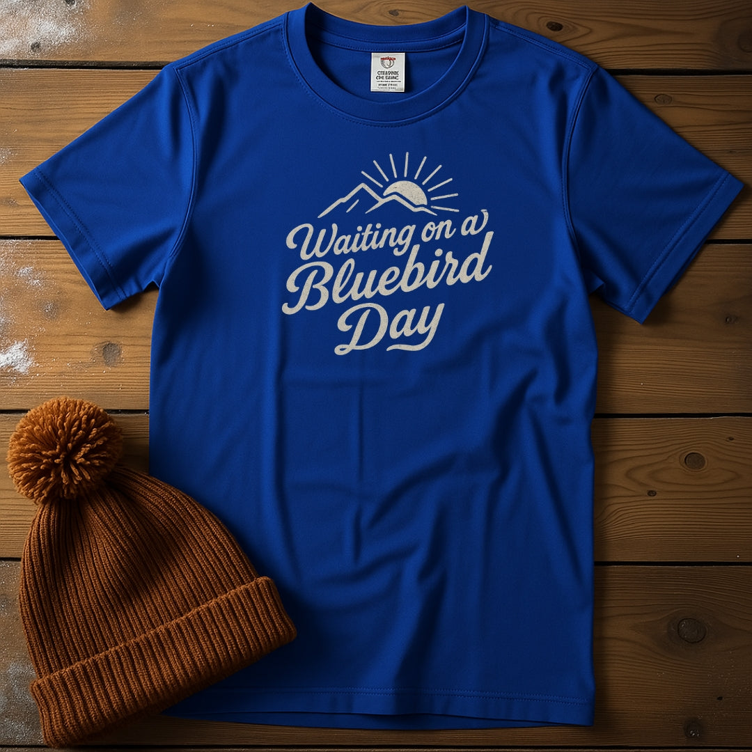 Waiting on a Bluebird Day